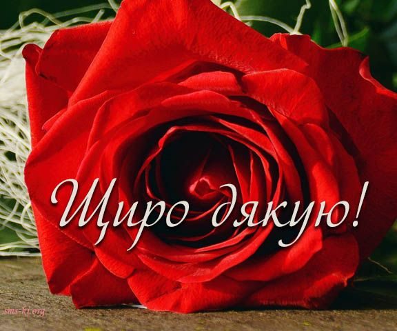 Красиві слова подяки за подарунок українською